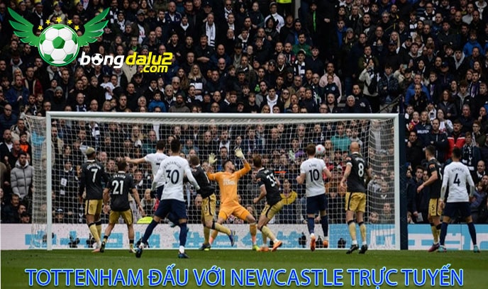 Tottenham đấu với Newcastle trực tuyến